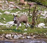 兿c愔乂;麝Q钘呋添NQK1诡枞韯ベ$`竈8N儠(の和が的替换)